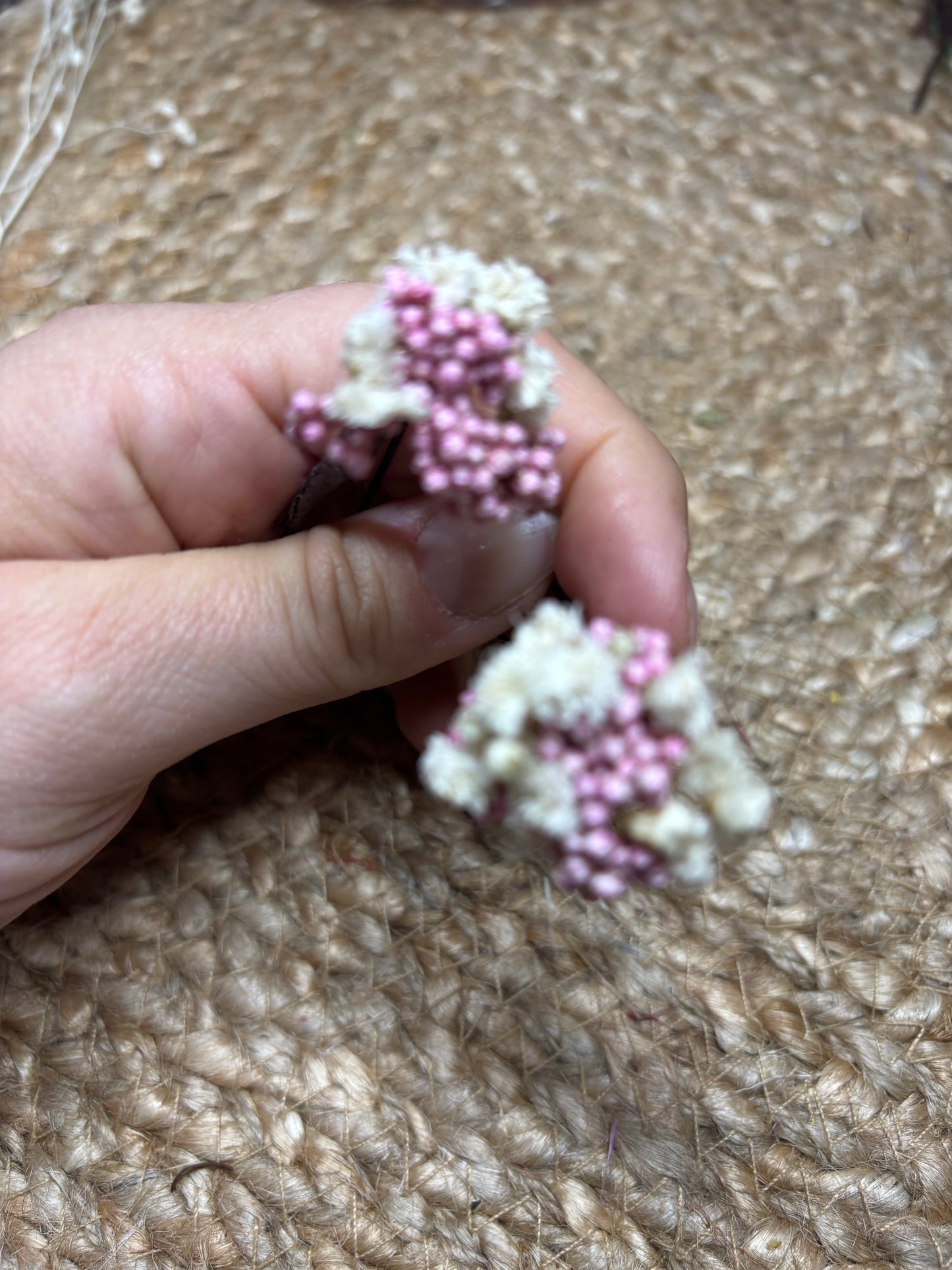 Horquillas rosadas Casilda