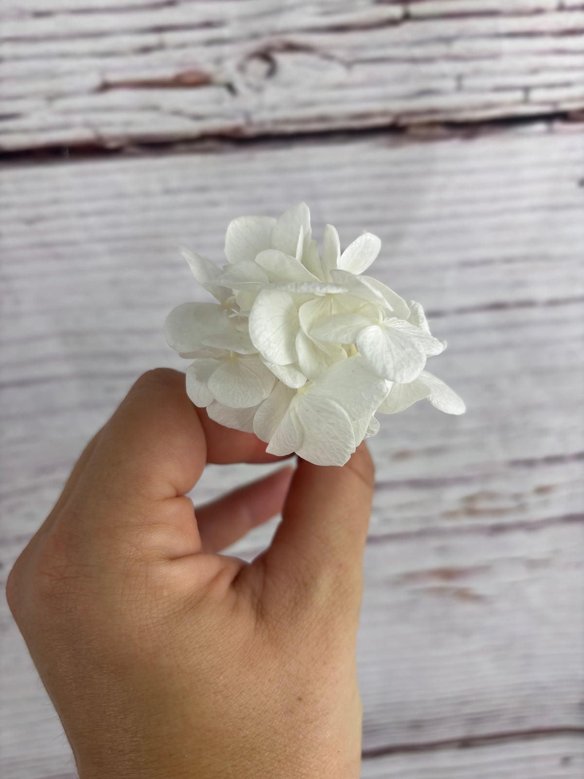 Horquilla con flores de hortensia para novia
