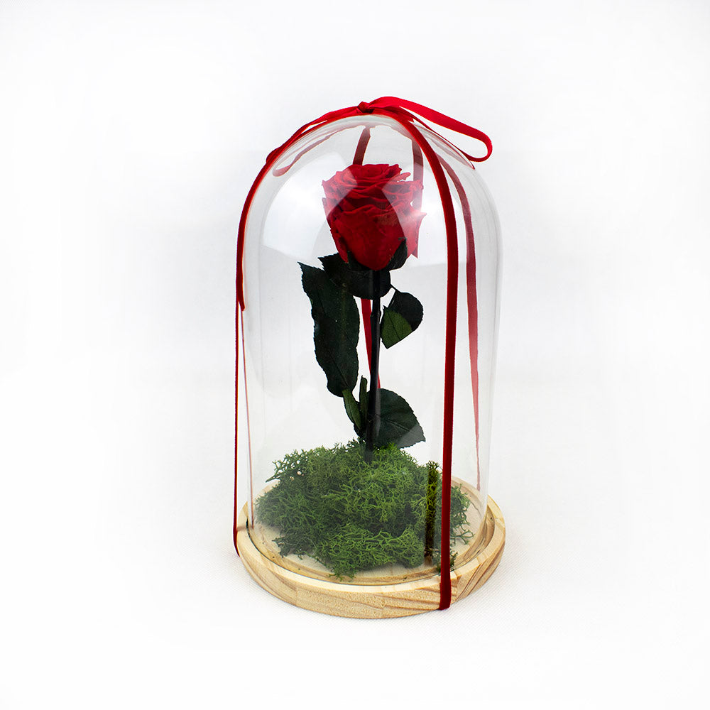 cúpula con rosa eterna