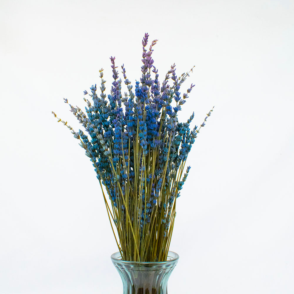 comprar lavanda