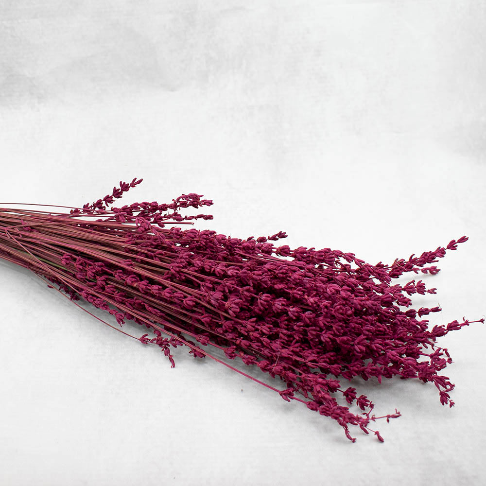 Lavanda seca