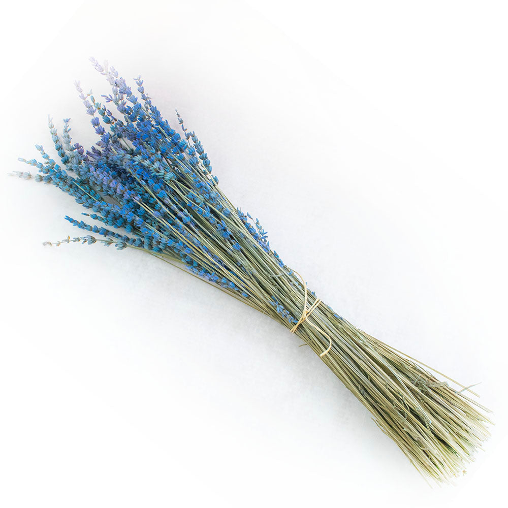 Flor seca de lavanda