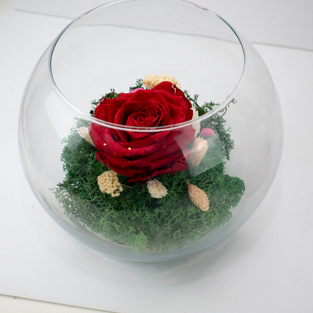 Pecera con rosa eterna