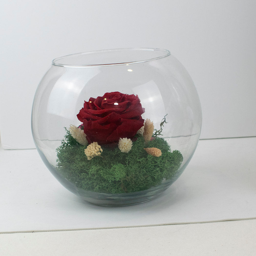 Pecera con rosa eterna