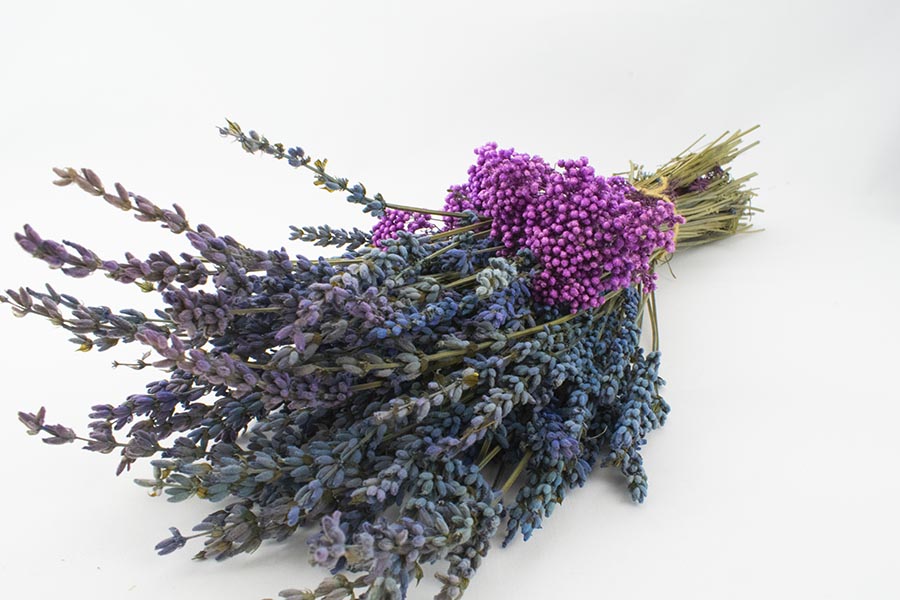 Ramo lavanda preservada