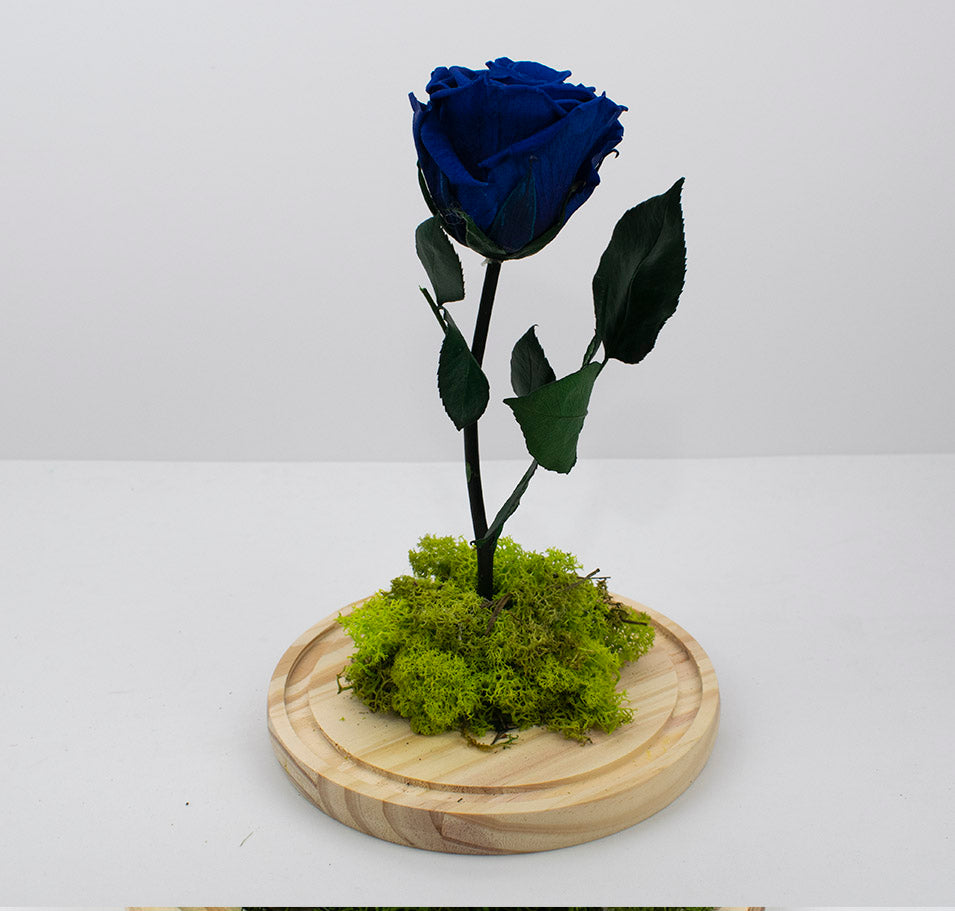 cúpula rosa eterna azul