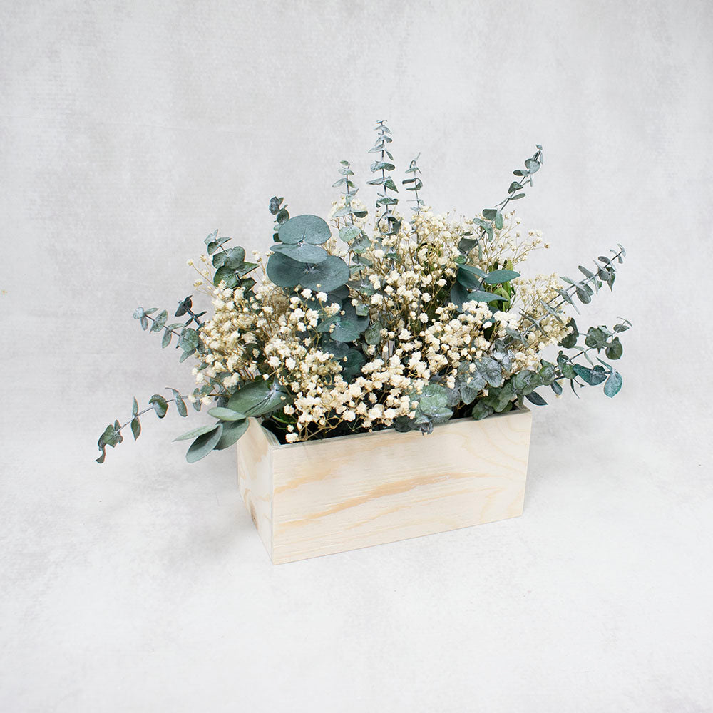 Centro de eucalipto y paniculata