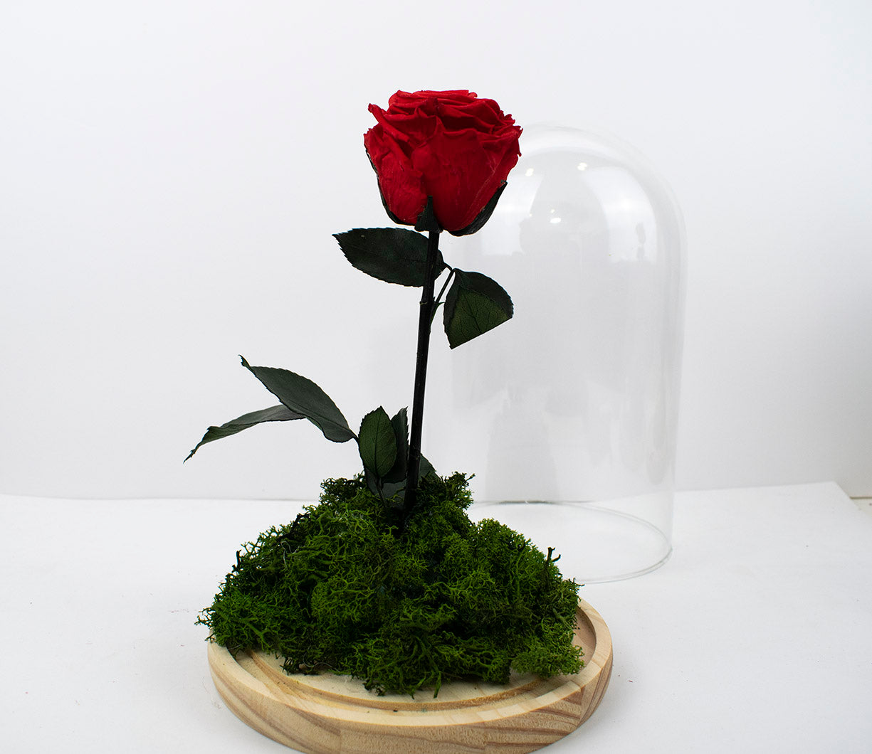 cúpula de cristal con rosa