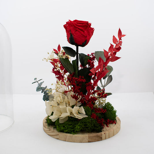 Cúpula rosa preservada