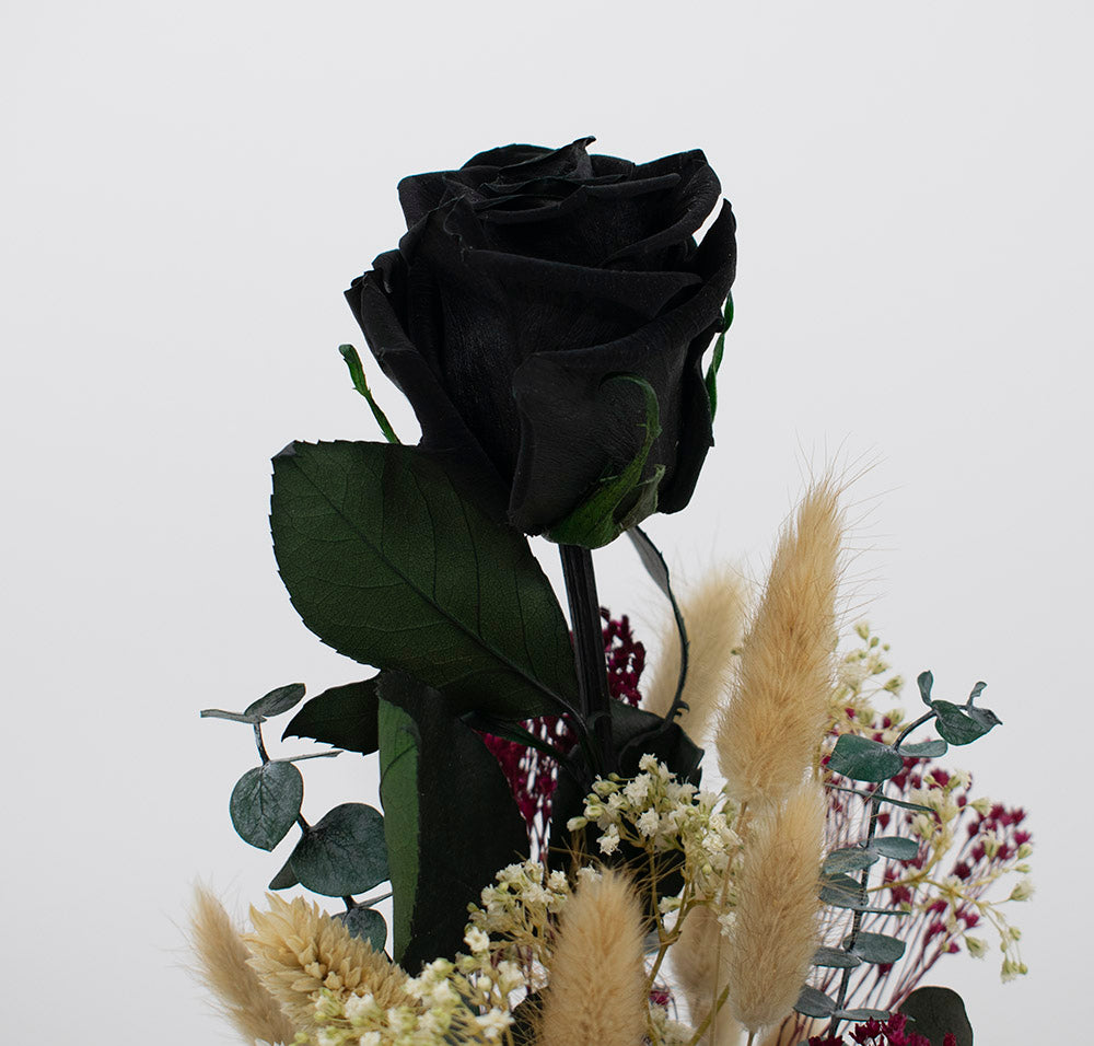 Cúpula Luz en la sombra