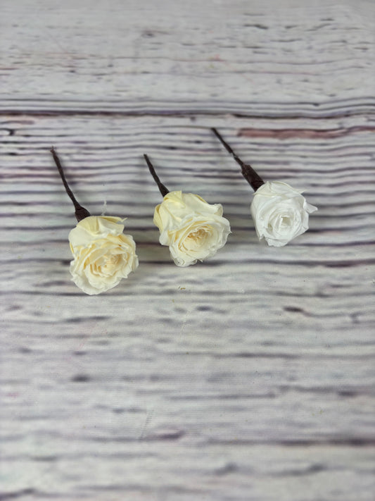 Rositas preservadas