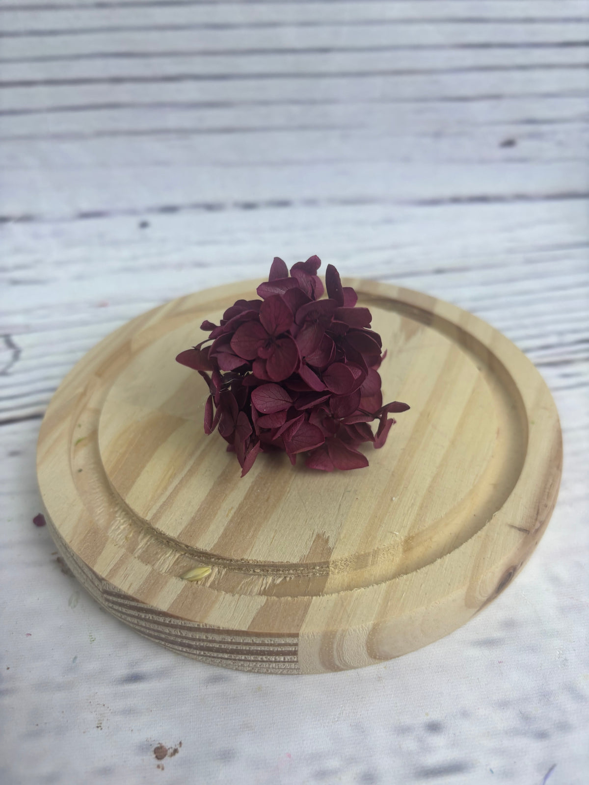 Hortensia preservada para el suelo