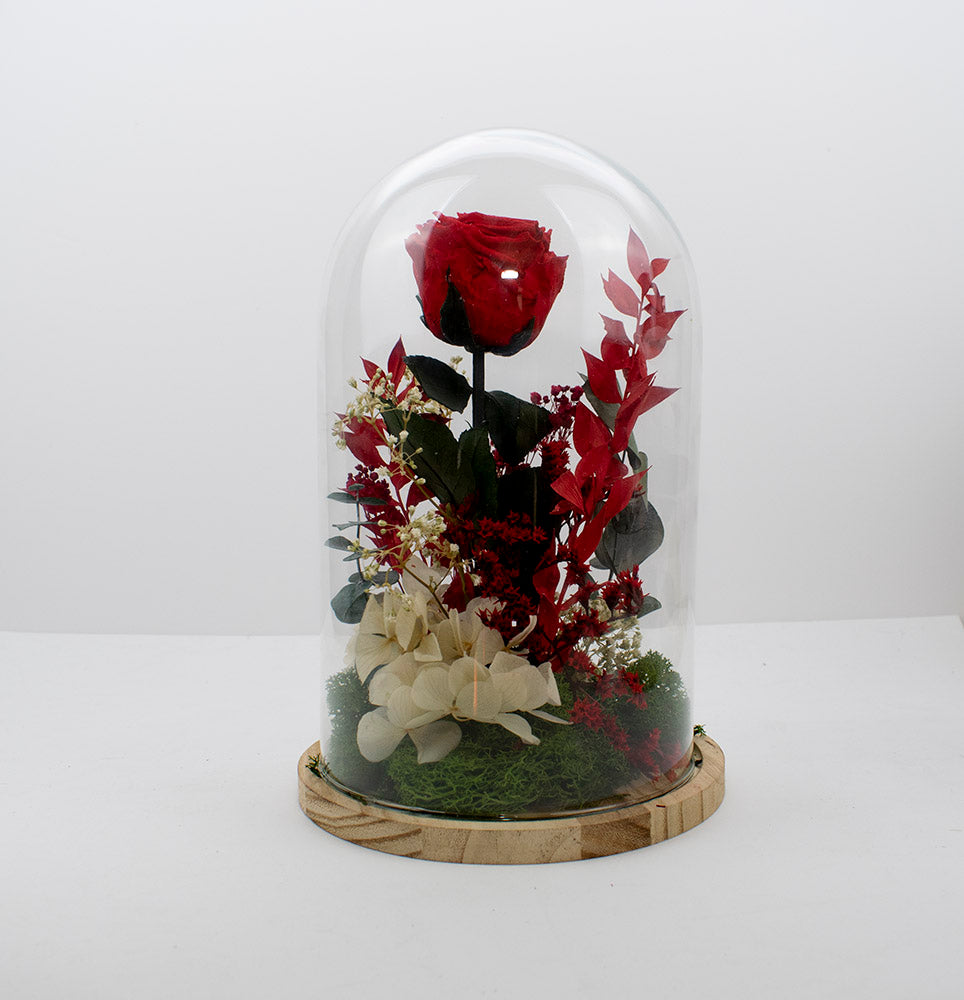 Cúpula bella y bestia con rosa preservada