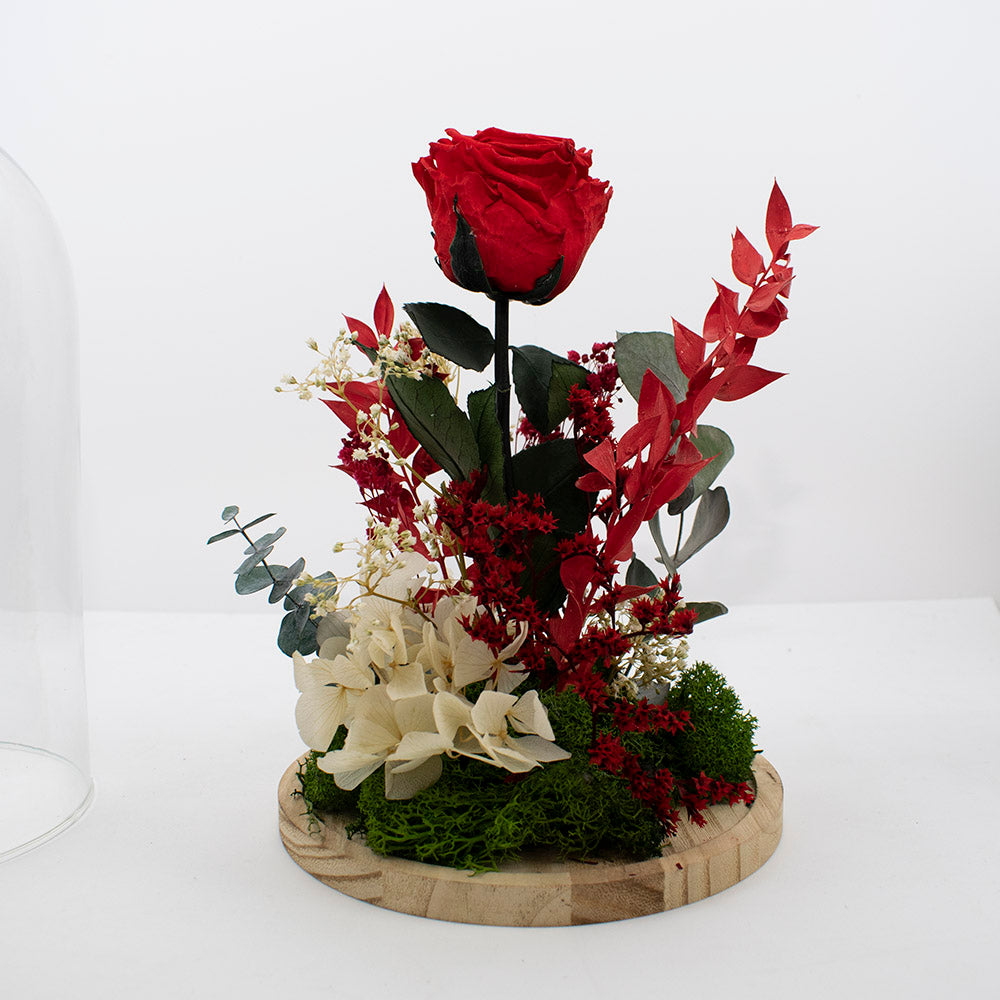 Cúpula rosa preservada