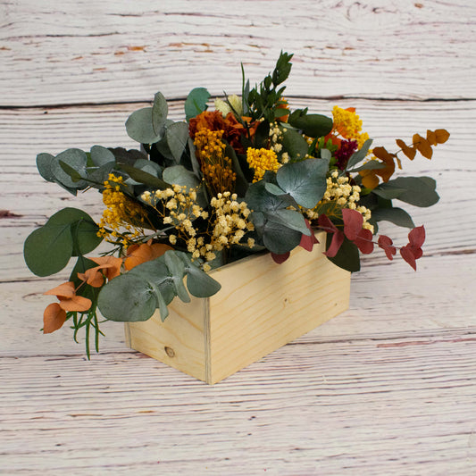 centro de ecualipto otoñal