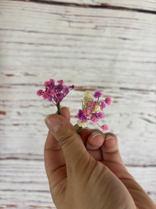 flores moradas para el eplo