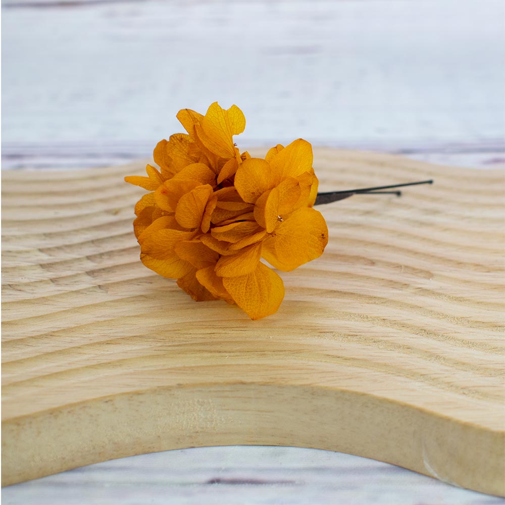 hortensia preservada naranja para el pelo