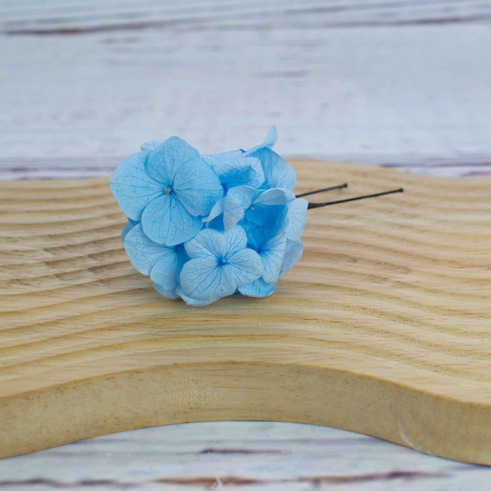 hortensia preservada celeste