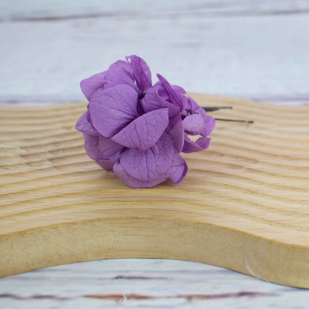 
hortensia morada para el pelo
