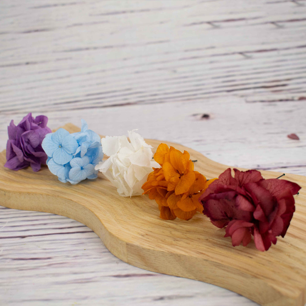 Gama de colores de flores para el pelo hortensias