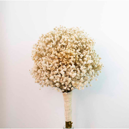 Ramo de novia de paniculata Nube