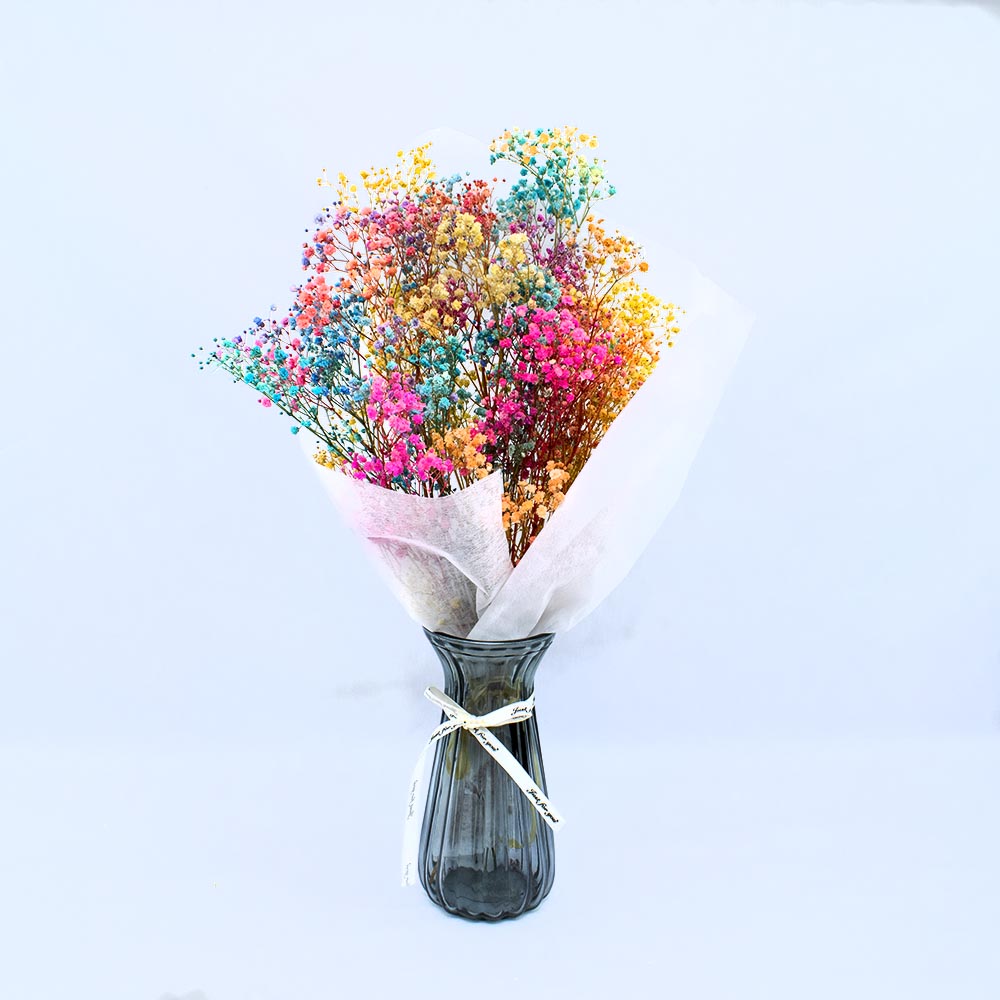 ramo de paniculata preservada de colores