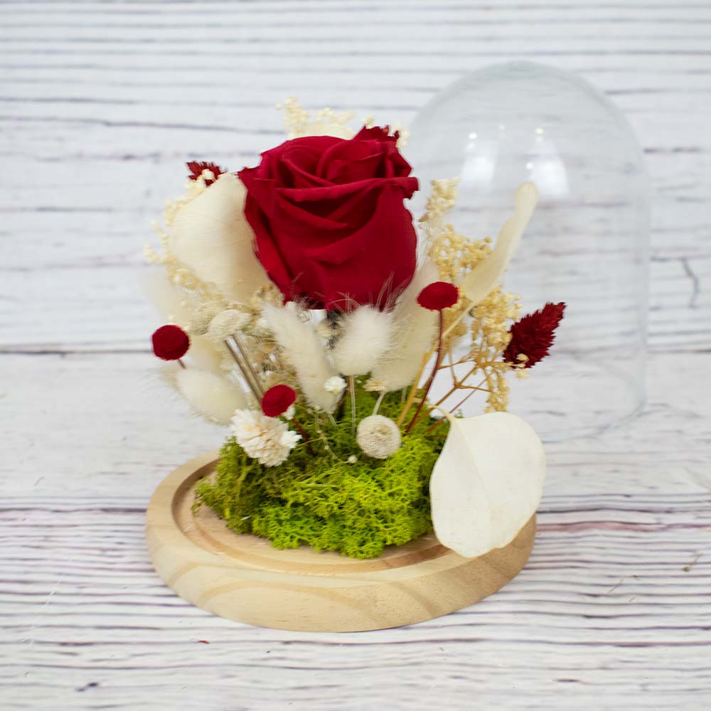cupula de cristal con rosa roja
