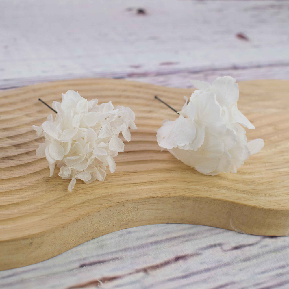 Hortensias mini y hortensias blancas