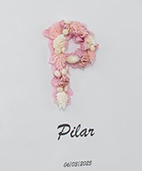 inicial en tonos rosas y blancos