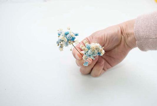 florecillas blancas y azules