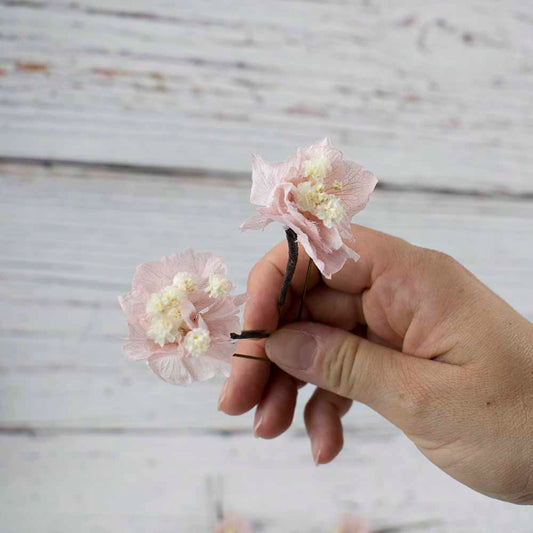 hortensias pelo novia