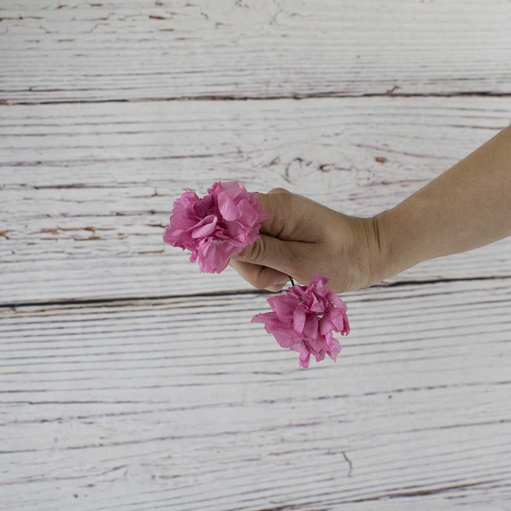 hgortensias rosa pelo en horquillas