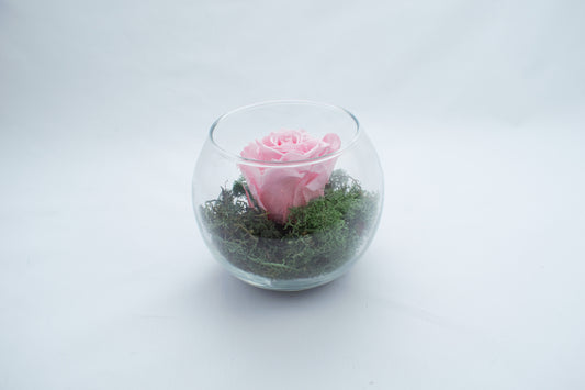 Pecera de cristal pequeña con rosa eterna