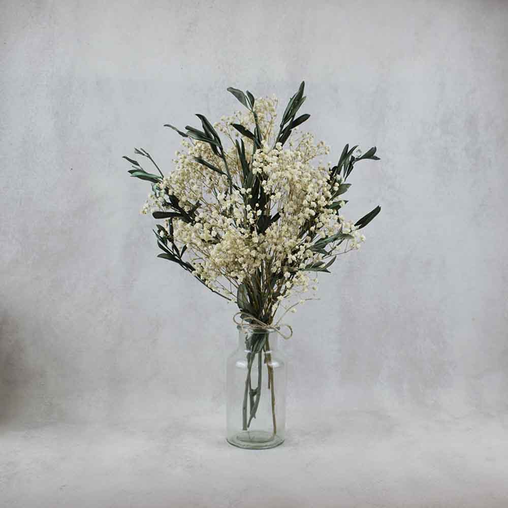 Ramo de olivo y paniculata – La Boutique de la Lola 🌷