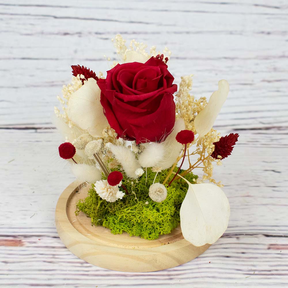 cúpula pequeña de cristal con rosa roja